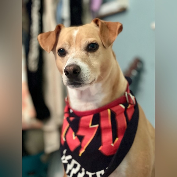 Meet your Posher, Felisha - Picture 10 of 13